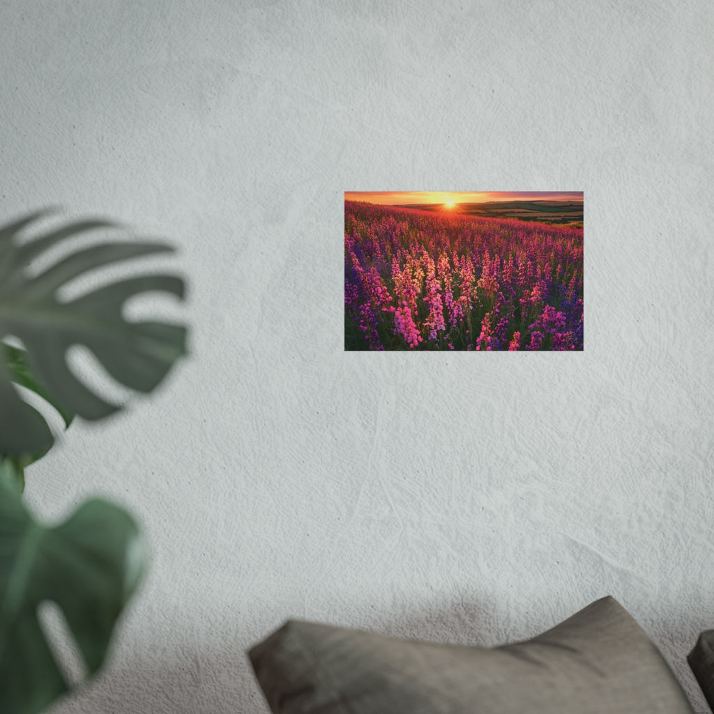Lavender Flower field sunset Wall Art | Fine Art Posters | Home Decor | Housewarming Gift | Travel Gift | No frame