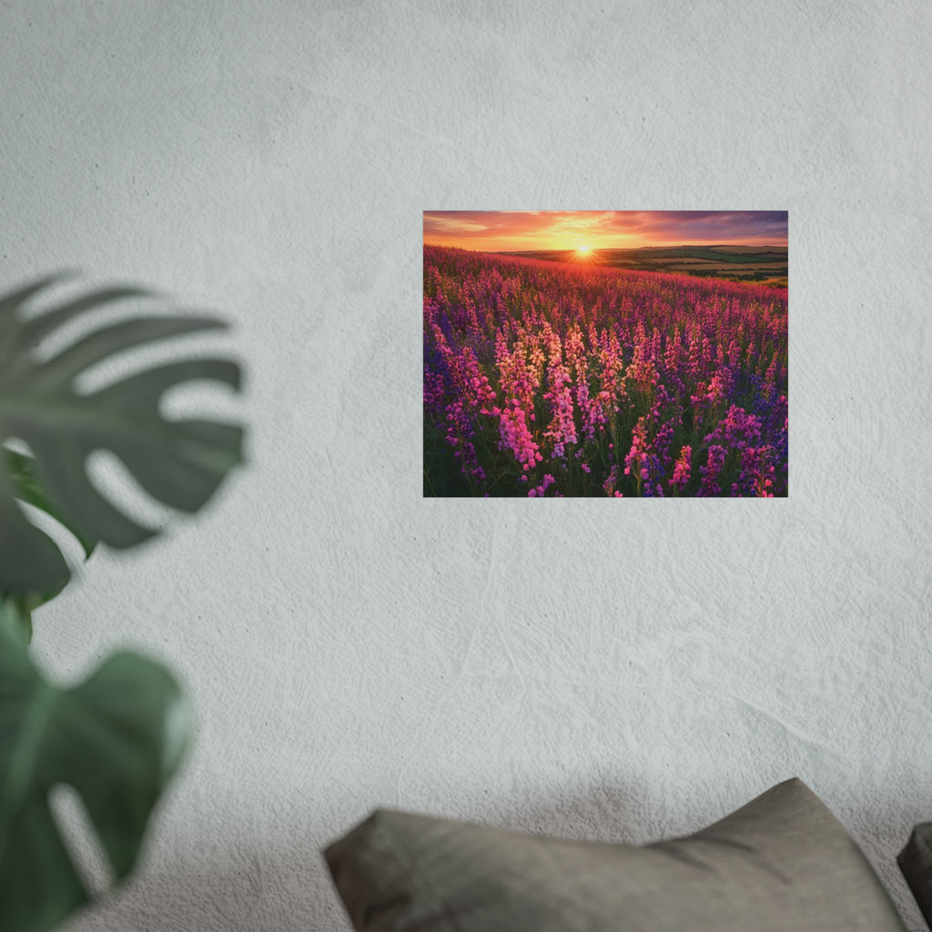 Lavender Flower field sunset Wall Art | Fine Art Posters | Home Decor | Housewarming Gift | Travel Gift | No frame