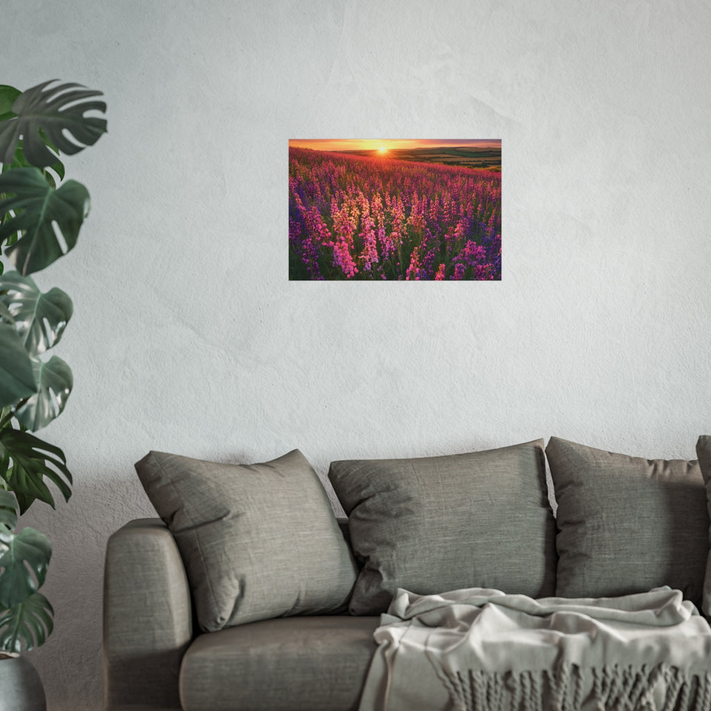 Lavender Flower field sunset Wall Art | Fine Art Posters | Home Decor | Housewarming Gift | Travel Gift | No frame