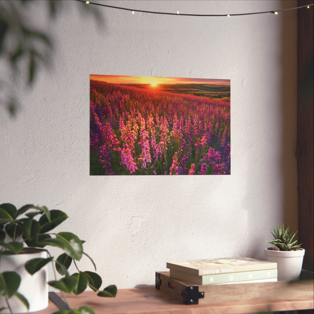 Lavender Flower field sunset Wall Art | Fine Art Posters | Home Decor | Housewarming Gift | Travel Gift | No frame