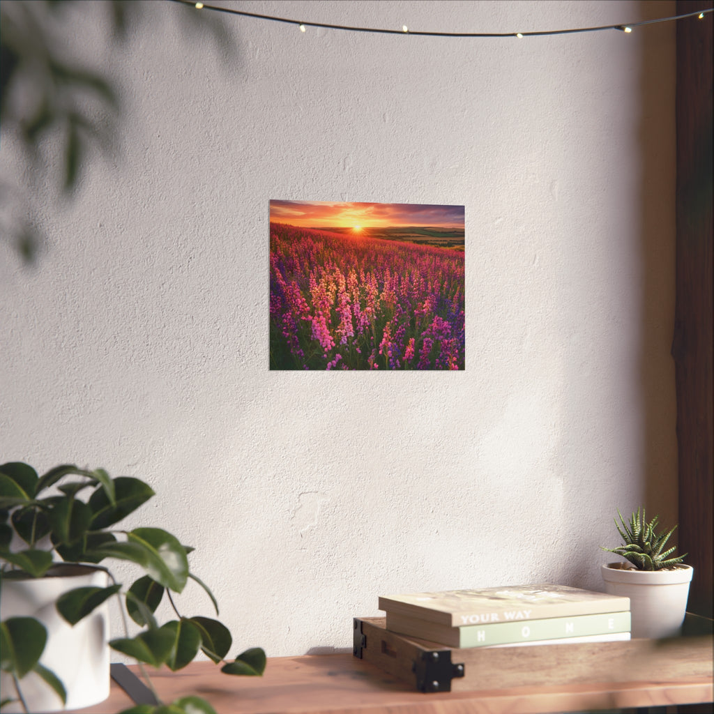 Lavender Flower field sunset Wall Art | Fine Art Posters | Home Decor | Housewarming Gift | Travel Gift | No frame