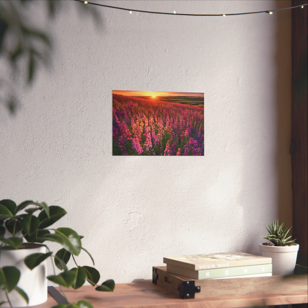 Lavender Flower field sunset Wall Art | Fine Art Posters | Home Decor | Housewarming Gift | Travel Gift | No frame