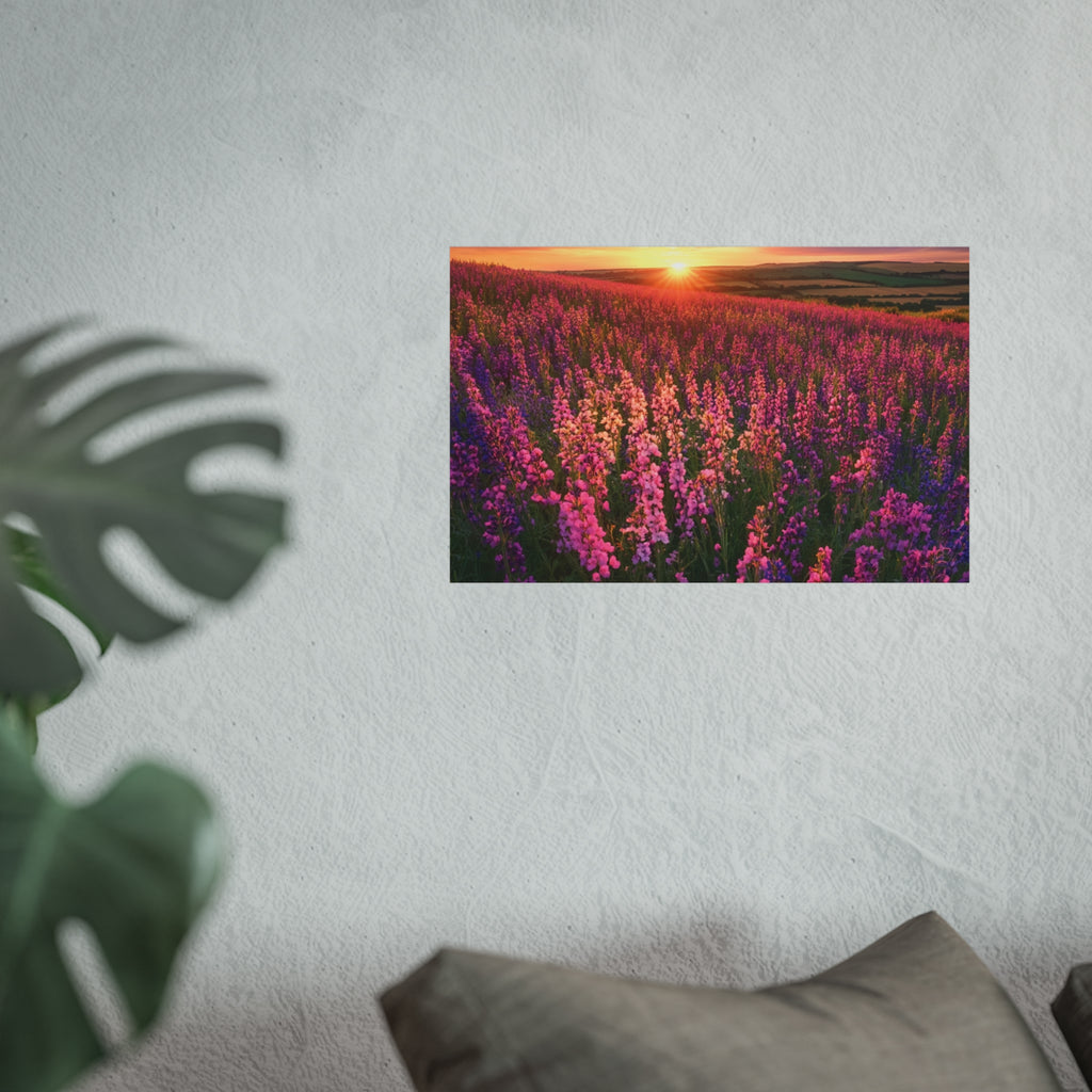 Lavender Flower field sunset Wall Art | Fine Art Posters | Home Decor | Housewarming Gift | Travel Gift | No frame