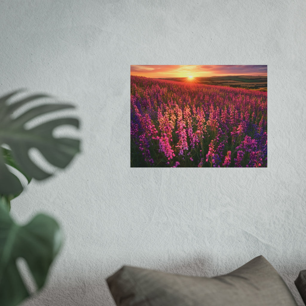 Lavender Flower field sunset Wall Art | Fine Art Posters | Home Decor | Housewarming Gift | Travel Gift | No frame