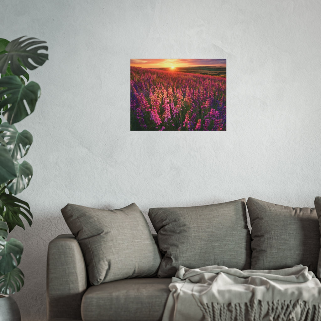 Lavender Flower field sunset Wall Art | Fine Art Posters | Home Decor | Housewarming Gift | Travel Gift | No frame