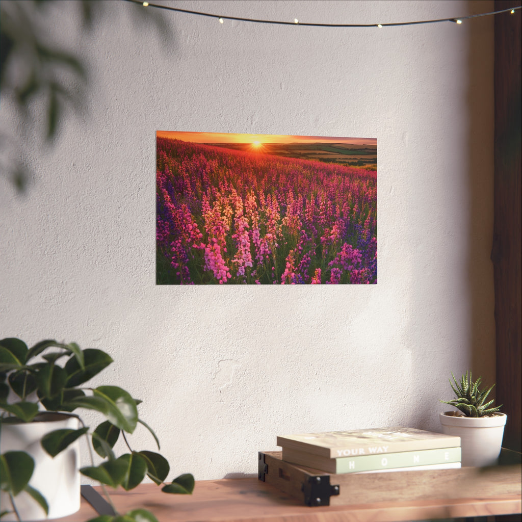 Lavender Flower field sunset Wall Art | Fine Art Posters | Home Decor | Housewarming Gift | Travel Gift | No frame