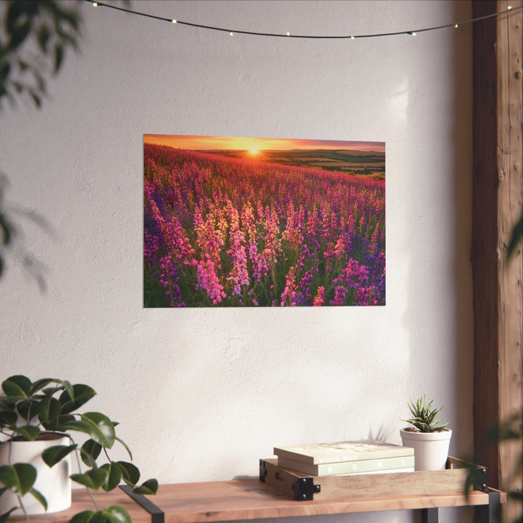 Lavender Flower field sunset Wall Art | Fine Art Posters | Home Decor | Housewarming Gift | Travel Gift | No frame