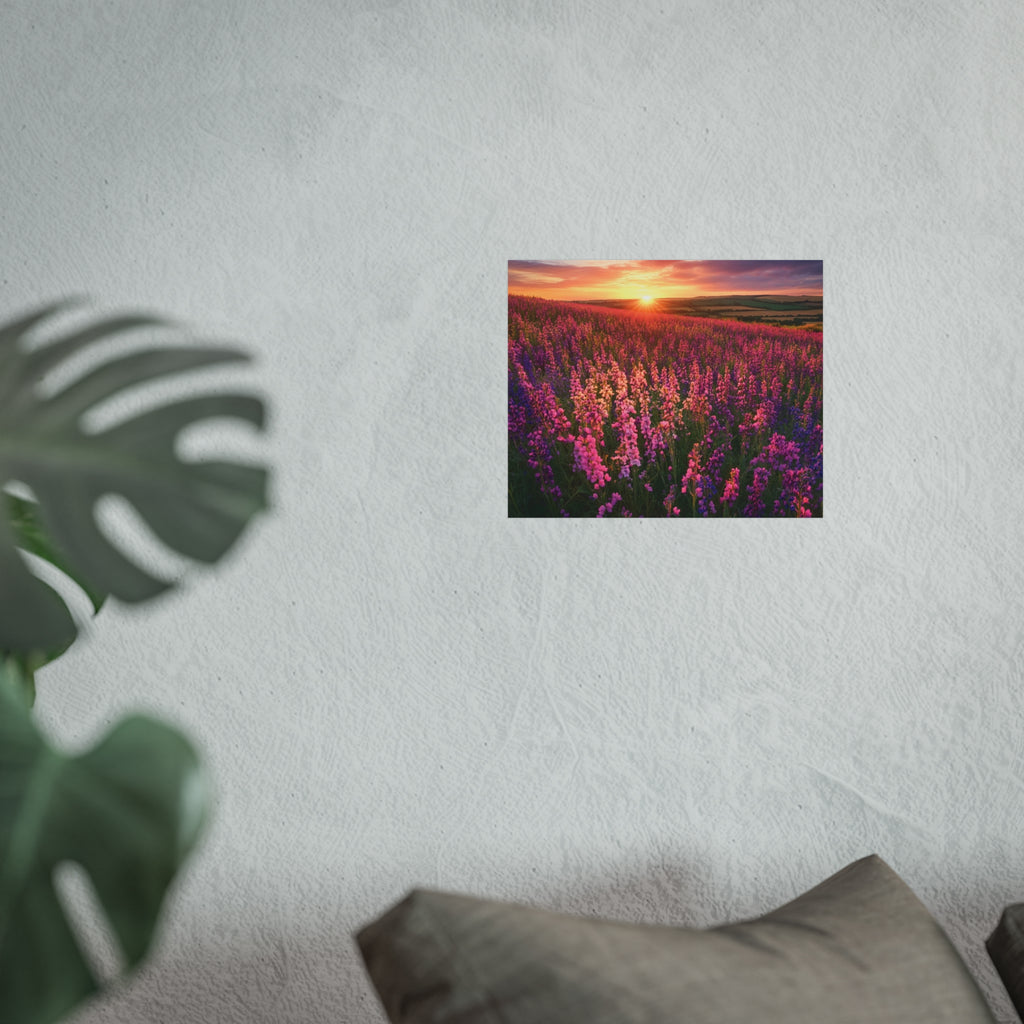 Lavender Flower field sunset Wall Art | Fine Art Posters | Home Decor | Housewarming Gift | Travel Gift | No frame