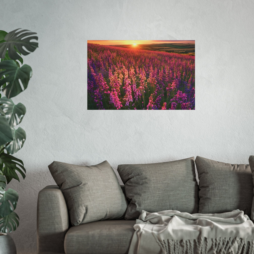 Lavender Flower field sunset Wall Art | Fine Art Posters | Home Decor | Housewarming Gift | Travel Gift | No frame