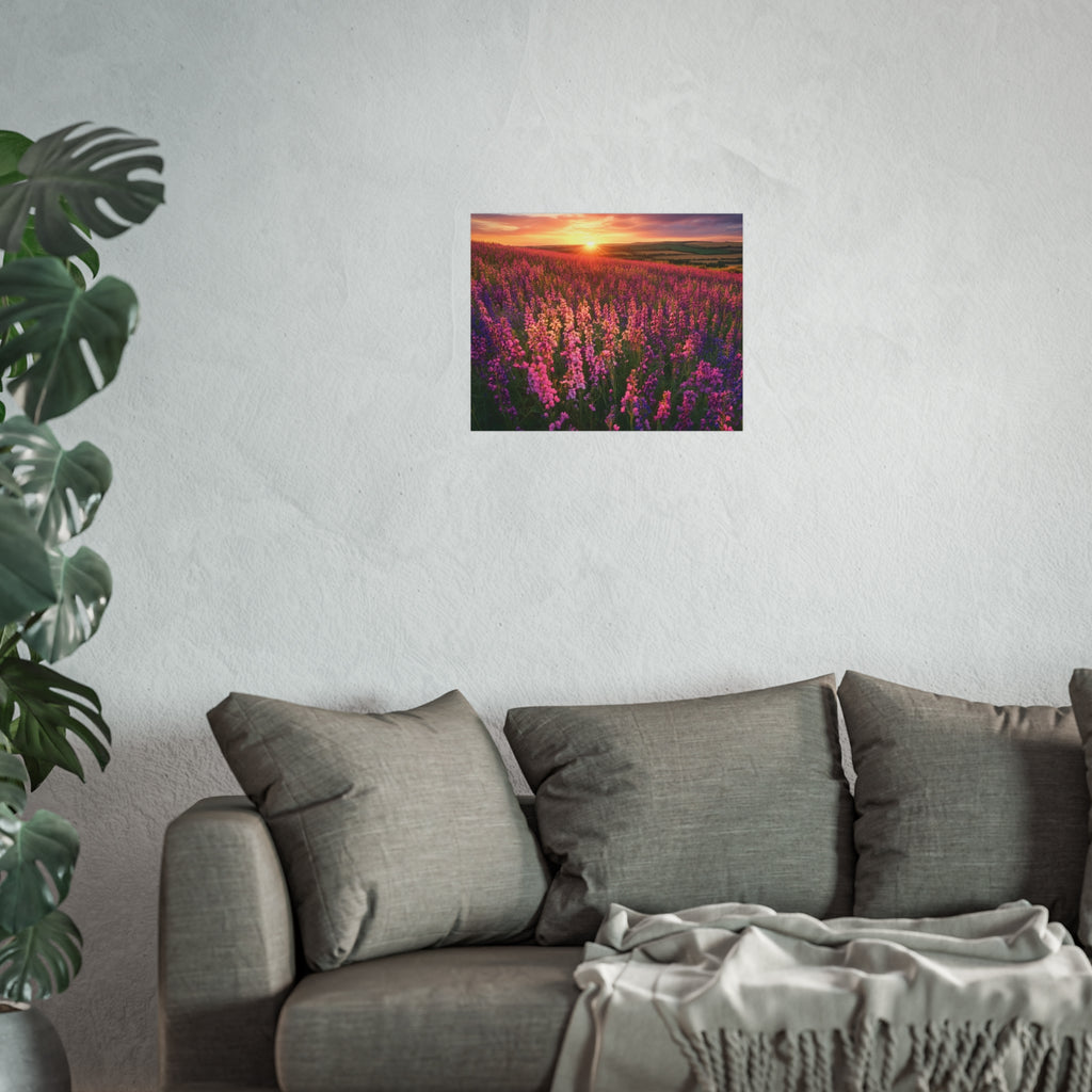 Lavender Flower field sunset Wall Art | Fine Art Posters | Home Decor | Housewarming Gift | Travel Gift | No frame