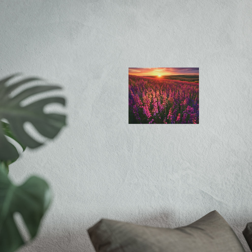 Lavender Flower field sunset Wall Art | Fine Art Posters | Home Decor | Housewarming Gift | Travel Gift | No frame